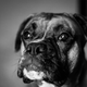 Image for article titled Shooting Challenge: Black & White 3